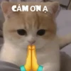Khám phá bộ sưu tập meme cảm ơn hài hước và ý nghĩa 2026