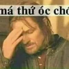 Khám phá kho meme chửi độc đáo và hài hước nhất 2026