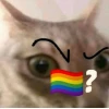 Khám phá Thế giới Meme Gay: Hài hước, Sáng tạo và Đầy Biểu cảm