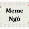 Khám phá thế giới meme nằm: Biểu tượng giải trí của giới trẻ 2026