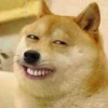 Meme Chó Sủa: Nguồn Gốc, Phân Loại và Cách Tạo Trend Độc Đáo