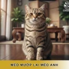 Tìm hiểu về mèo mướp lai và những đặc điểm nổi bật nhất năm 2026