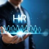 Tư vấn Nhân sự Toàn diện: Xây dựng Hệ thống Quản trị Hiệu quả