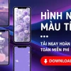 Tuyển chọn 99+ avatar màu tím ngầu, đậm chất cá tính cho năm 2026