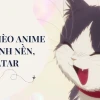 Tuyển Tập Avatar Mèo Cute Ngộ Nghĩnh Dành Cho Bạn