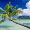 Tuyển Tập Hình Nền Biển Chill Mang Bình Yên Cho Mọi Thiết Bị 2026
