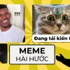 Tuyển Tập Hình Nền Meme Hài Hước Nhất 2026 Khiến Bạn Cười Không Ngớt