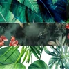Best removable jungle leaf wallpaper for tropical theme in 2026
