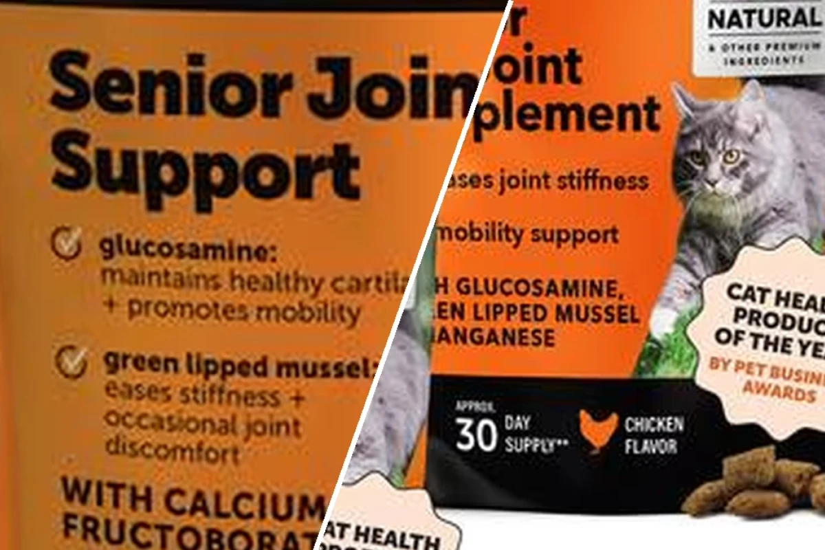 Comprehensive guide to senior cat food with joint support supplements in 2026