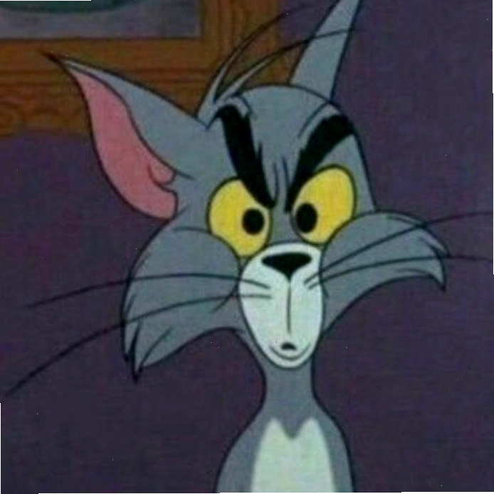 Ảnh avatar đôi bạn thân nam hài hước Tom và Jerry