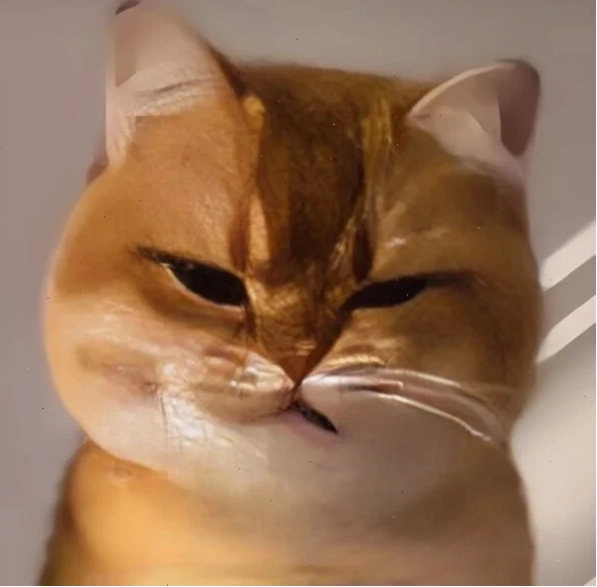 Ảnh chế meme mèo bựa đói bụng