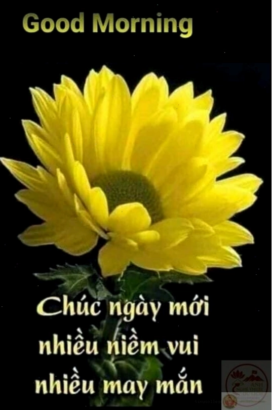 Ảnh chế vui nhộn khởi động ngày mới bằng nụ cười