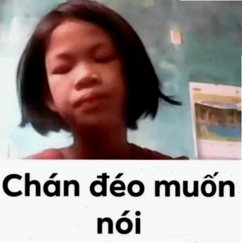 Ảnh meme chán chường không muốn nói làm dân văn phòng gật gù