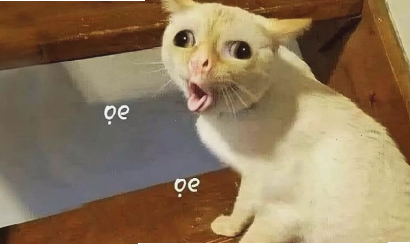 Ảnh meme hài hước, vui nhộn thể hiện sự ngạc nhiên