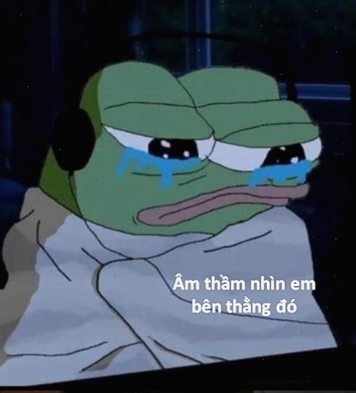 Ảnh meme khóc bất lực