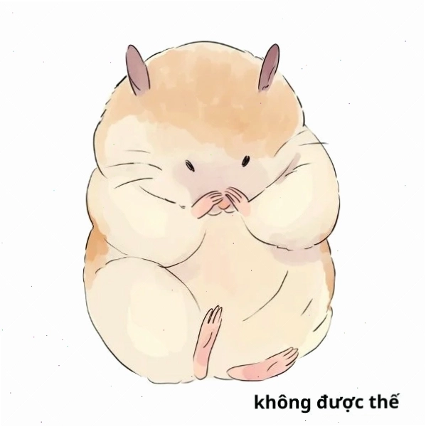 Ảnh meme không được thế