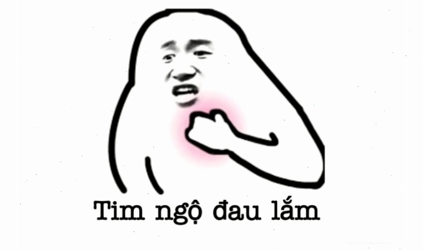 Ảnh meme mèo biểu cảm hài hước và vô tri
