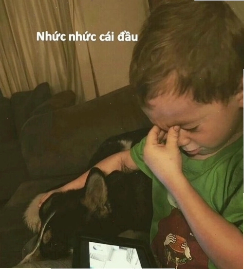 Ảnh meme ngồi bất lực
