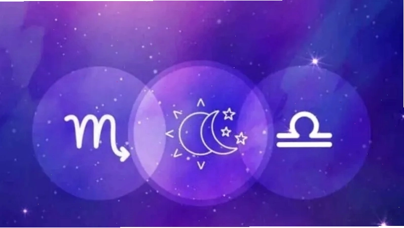 Ảnh minh họa chú chó với ánh nhìn ngây thơ