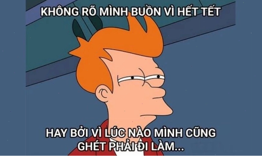 Avatar meme tết 2026 hài hước với biểu cảm của mèo