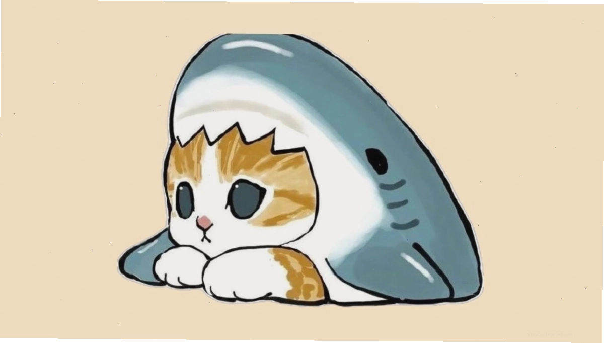 Avatar mèo chibi mập tròn đáng yêu