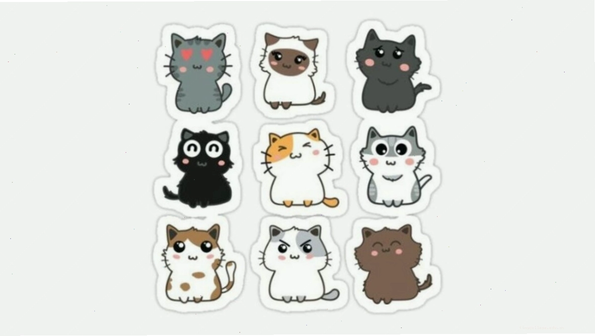 Avatar mèo chibi mập với đôi tai vểnh