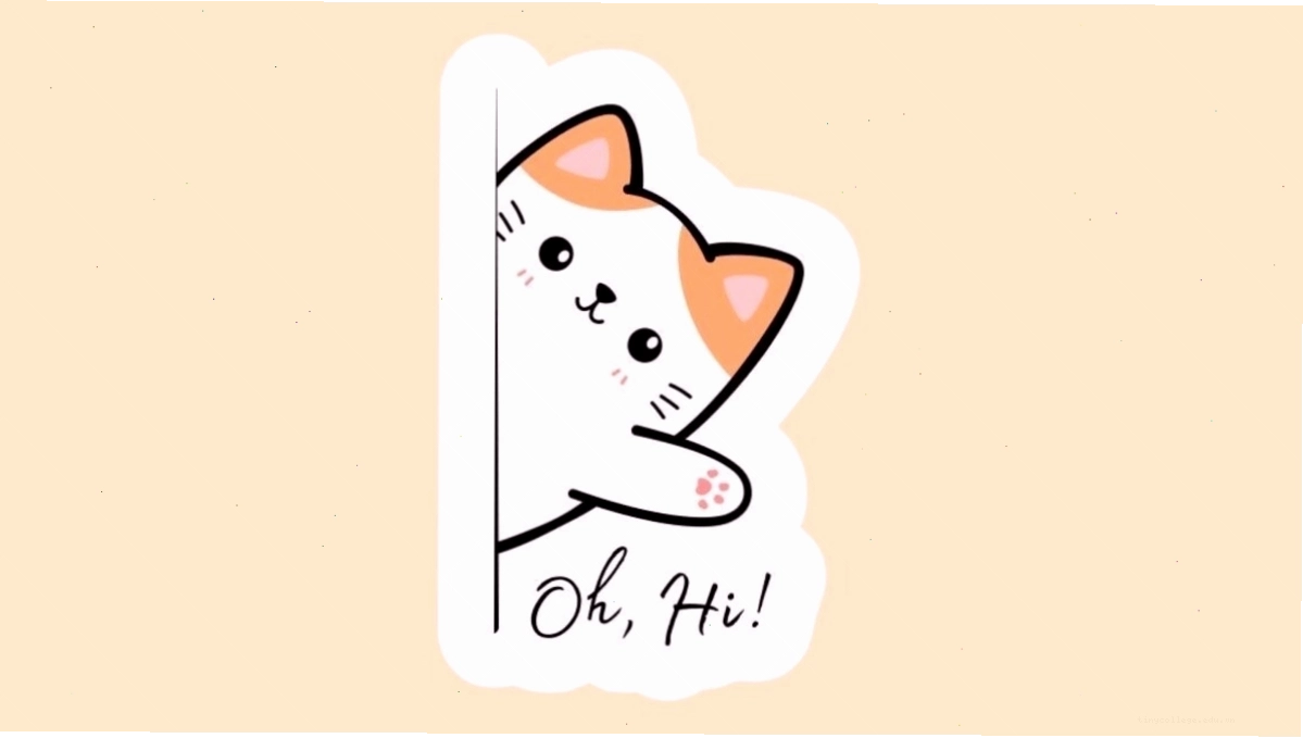 Avatar mèo chibi với phong cách dễ thương độc đáo