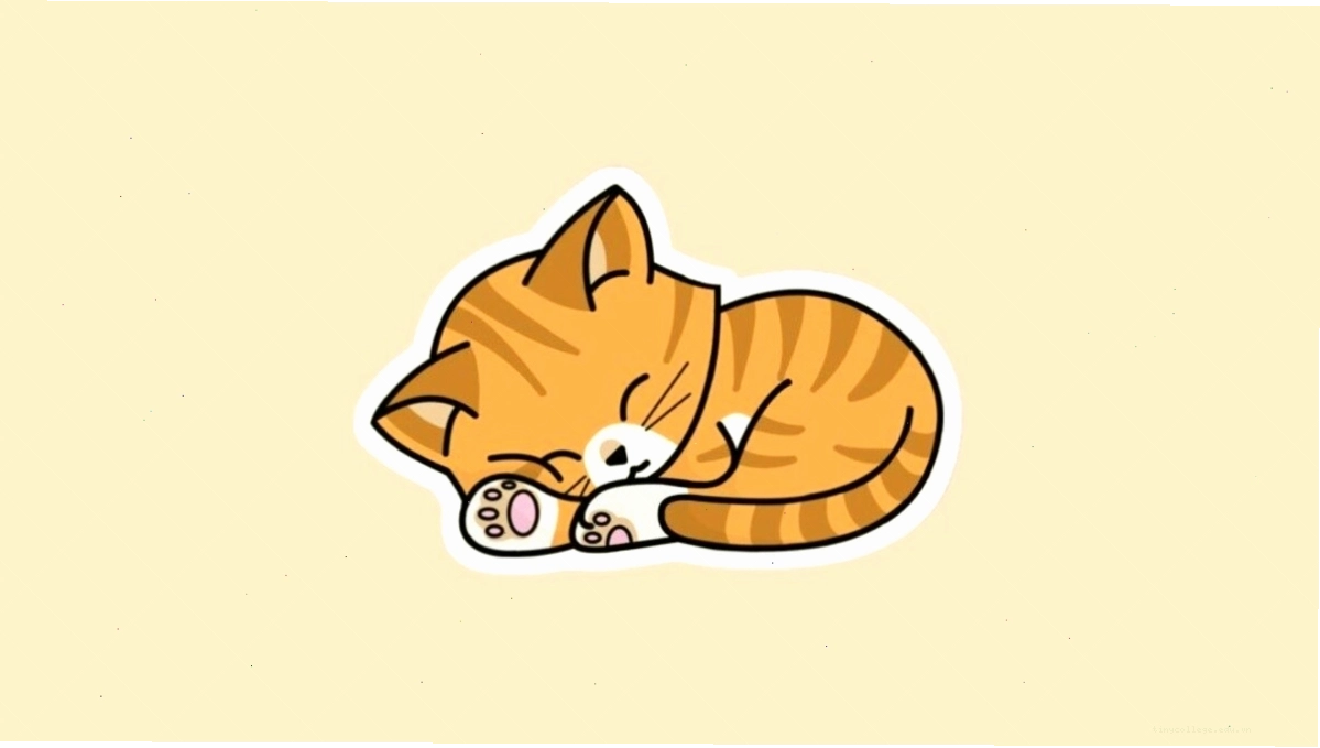 Avatar mèo chibi với trang phục bắt mắt