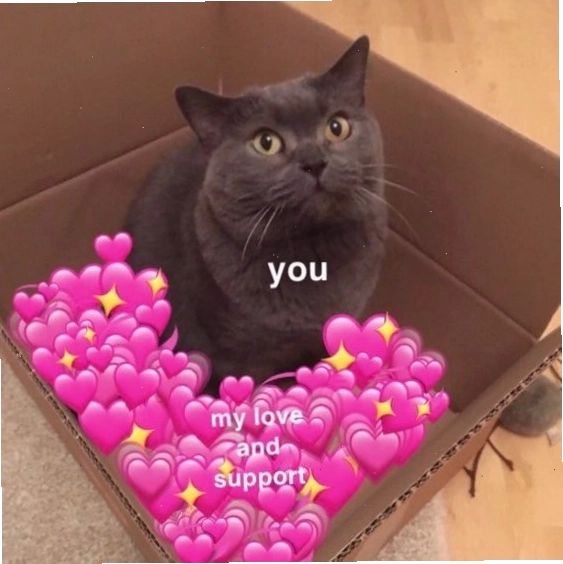 Avatar mèo meme dễ thương