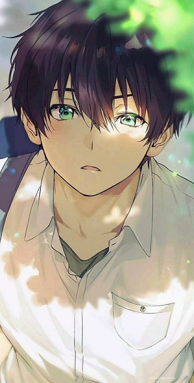 Avatar nam anime buồn với ánh mắt xa xăm