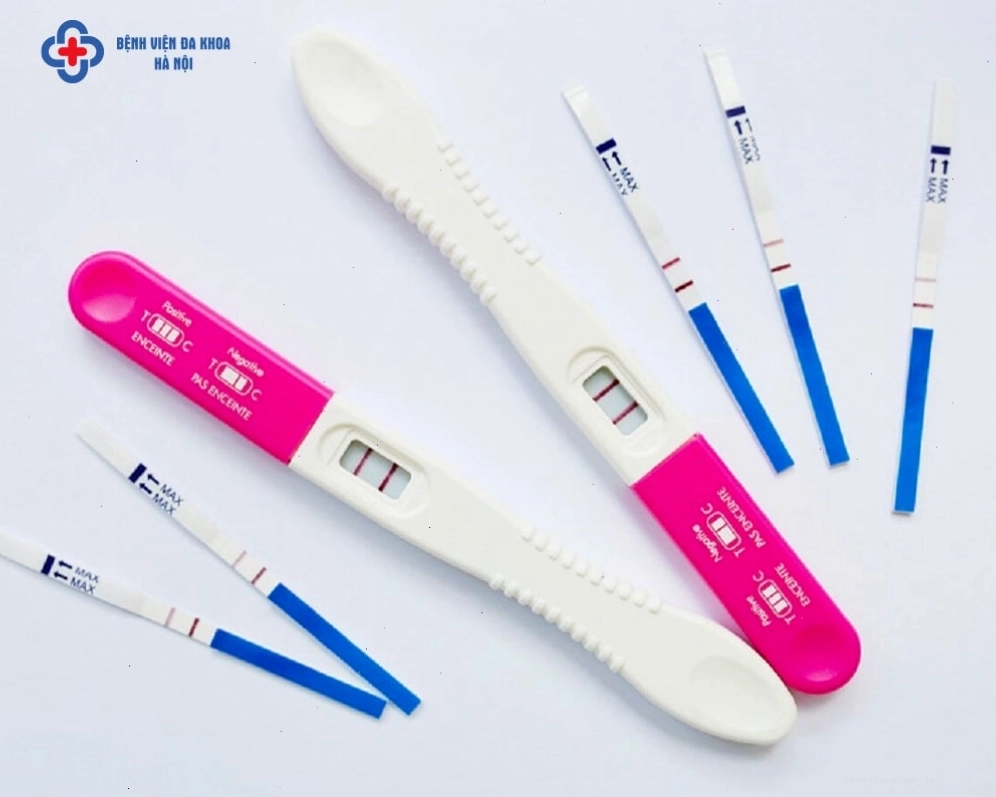 Biểu đồ giải thích các yếu tố ảnh hưởng đến giới tính thai nhi