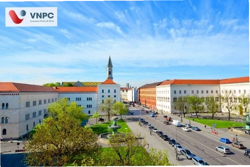 Biểu tượng học bổng và bằng tốt nghiệp