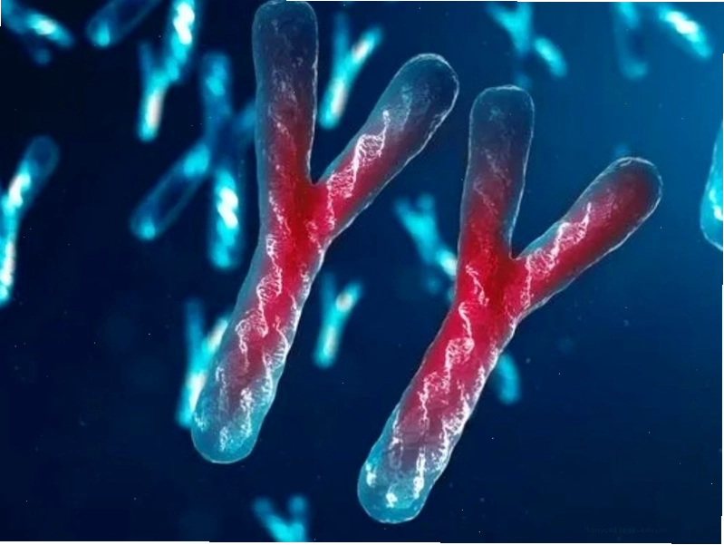 Bữa ăn giàu kiềm với nhiều rau xanh và trái cây tươi