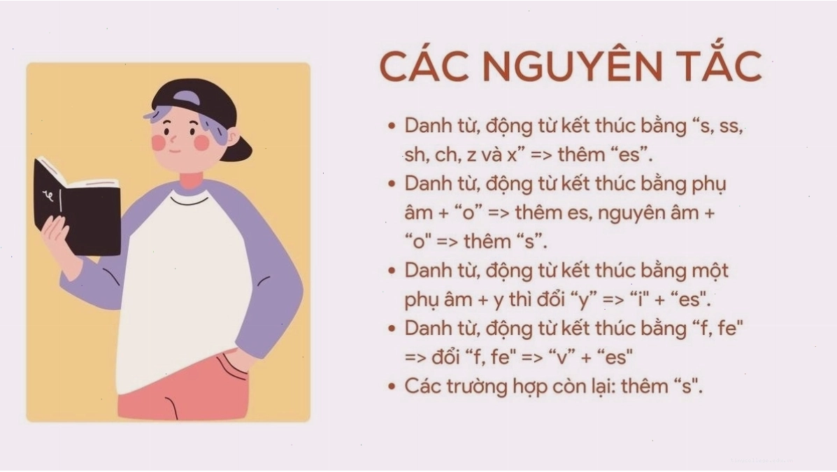 Các nguyên tắc khi thêm s/es vào động từ thì hiện tại đơn