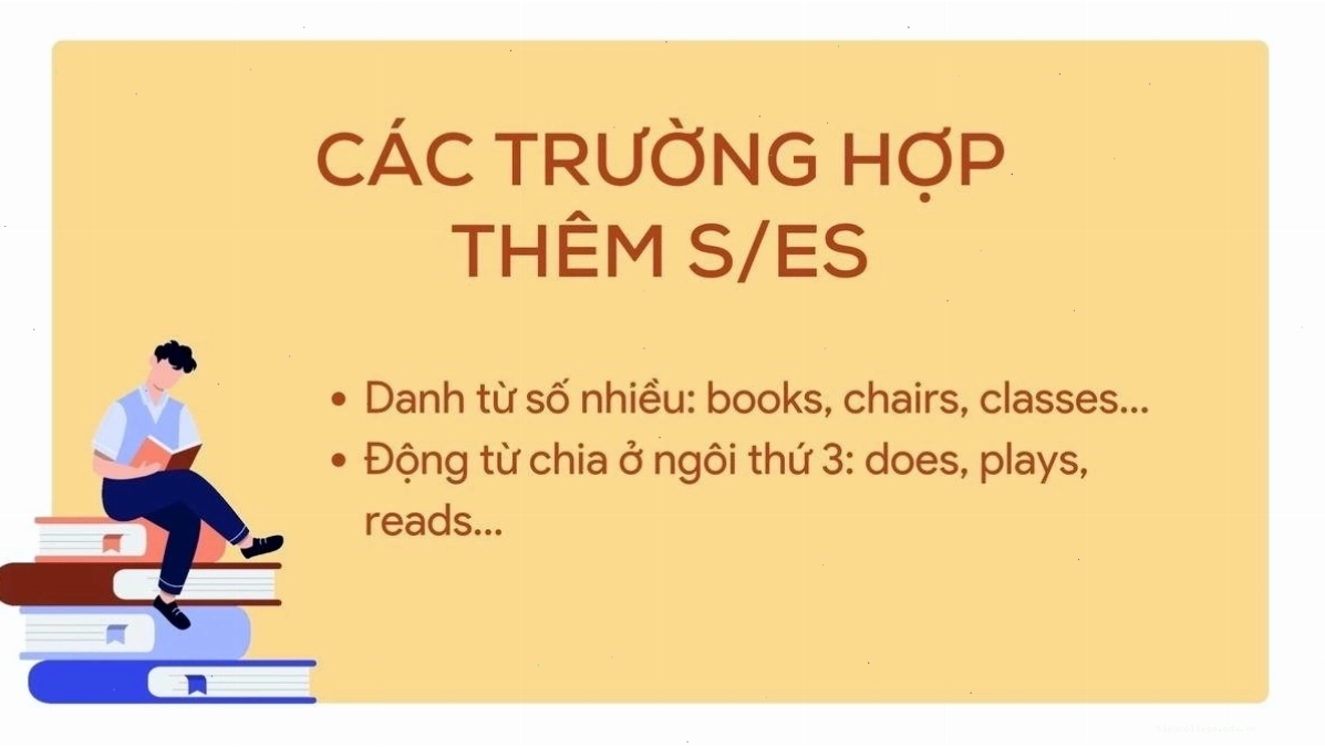 Các trường hợp thêm s/es vào danh từ trong tiếng Anh