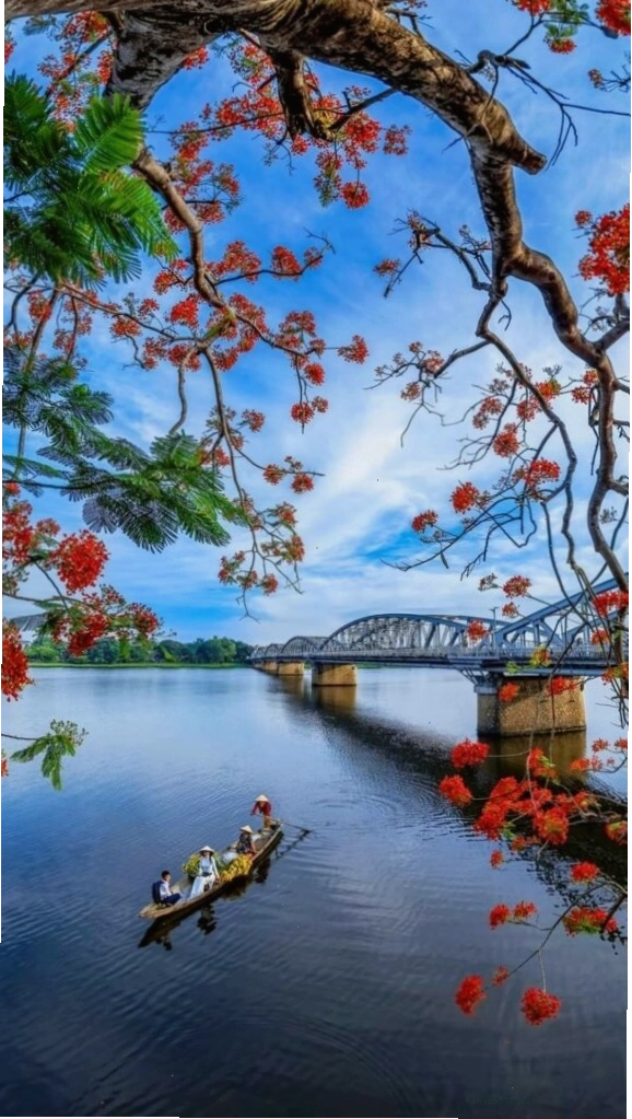 Cành hoa đỏ bên mặt hồ sông Hương tĩnh lặng chiều thu, làm hình nền điện thoại thêm phần thơ mộng