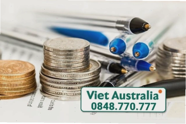 Chuyên gia tư vấn thuế đang làm việc với hồ sơ của khách hàng