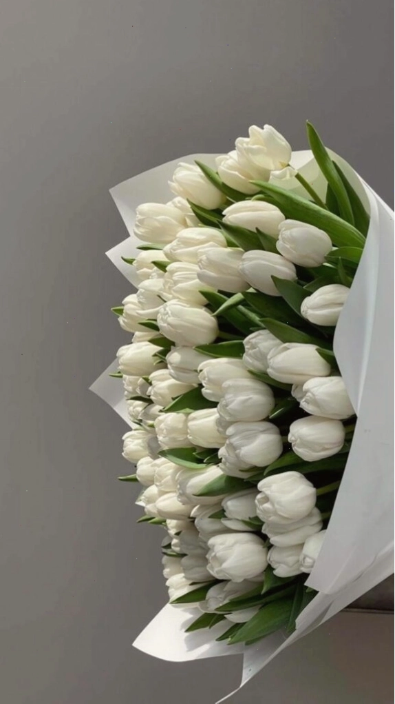 Con đường nhỏ xuyên qua vườn hoa tulip nở rộ