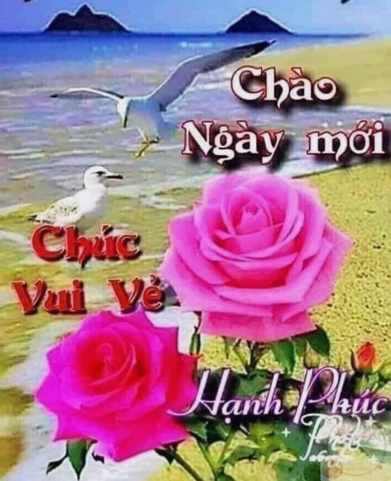 Dòng chữ ngắn gọn mở ra ngày hứng khởi