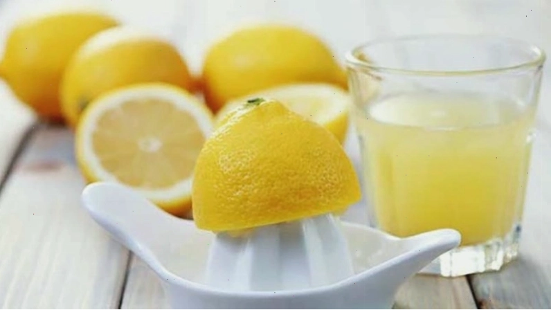 Đuổi kiến bằng giấm ăn với hỗn hợp pha loãng