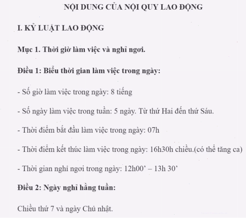 File word mẫu nội quy công ty ngắn gọn là tài liệu tham khảo hữu ích