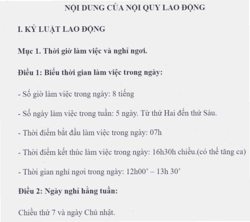 File word mẫu nội quy công ty tóm tắt các điều khoản chính