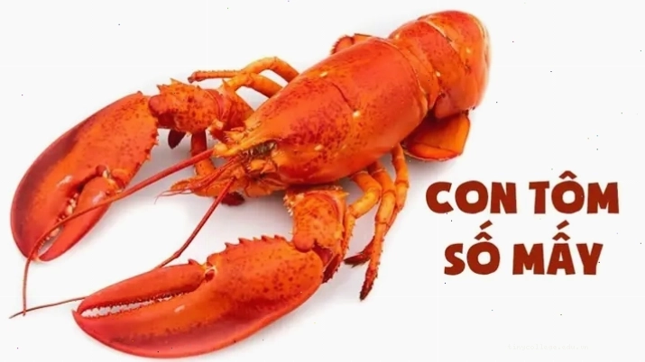 Hình ảnh con tôm tươi ngon tượng trưng cho sự may mắn