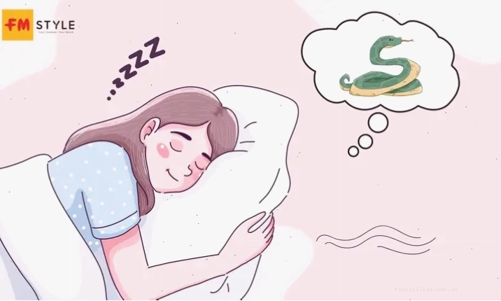 Hình ảnh hai con rắn đen tượng trưng cho điềm báo trong giấc mơ