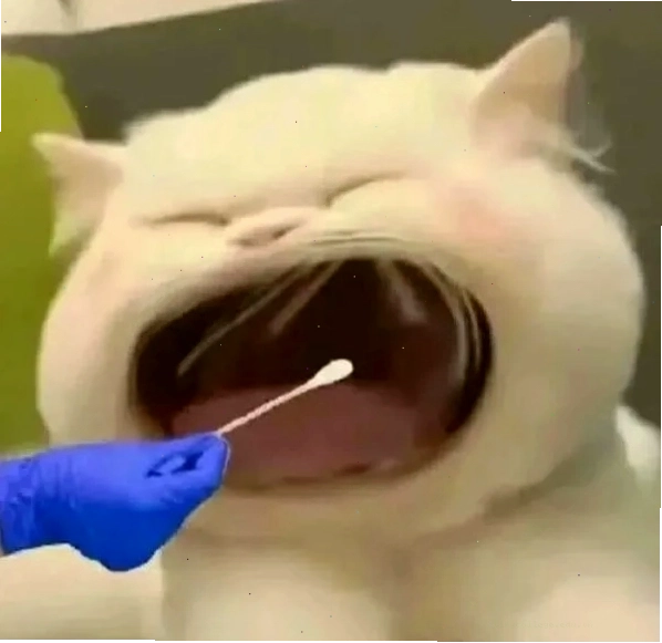 Hình ảnh meme há mồm số 14 với biểu cảm hài hước