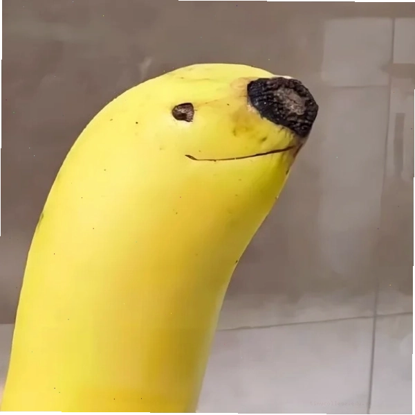 Hình meme bựa thể hiện sự tuyệt vọng vì đói