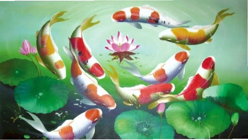 Hình nền cá chép hoa sen 3D với hiệu ứng chuyển động đẹp mắt