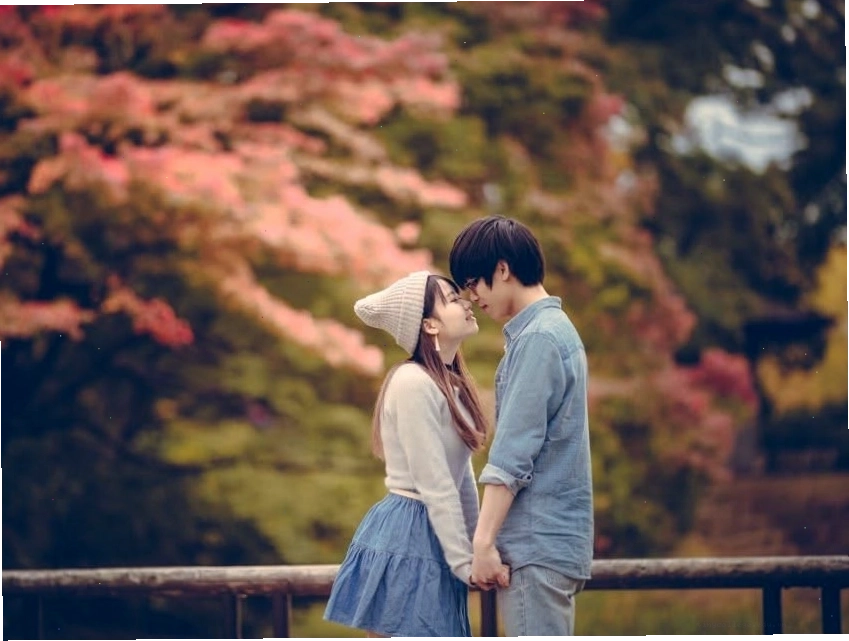 Hình nền cặp đôi mèo dễ thương