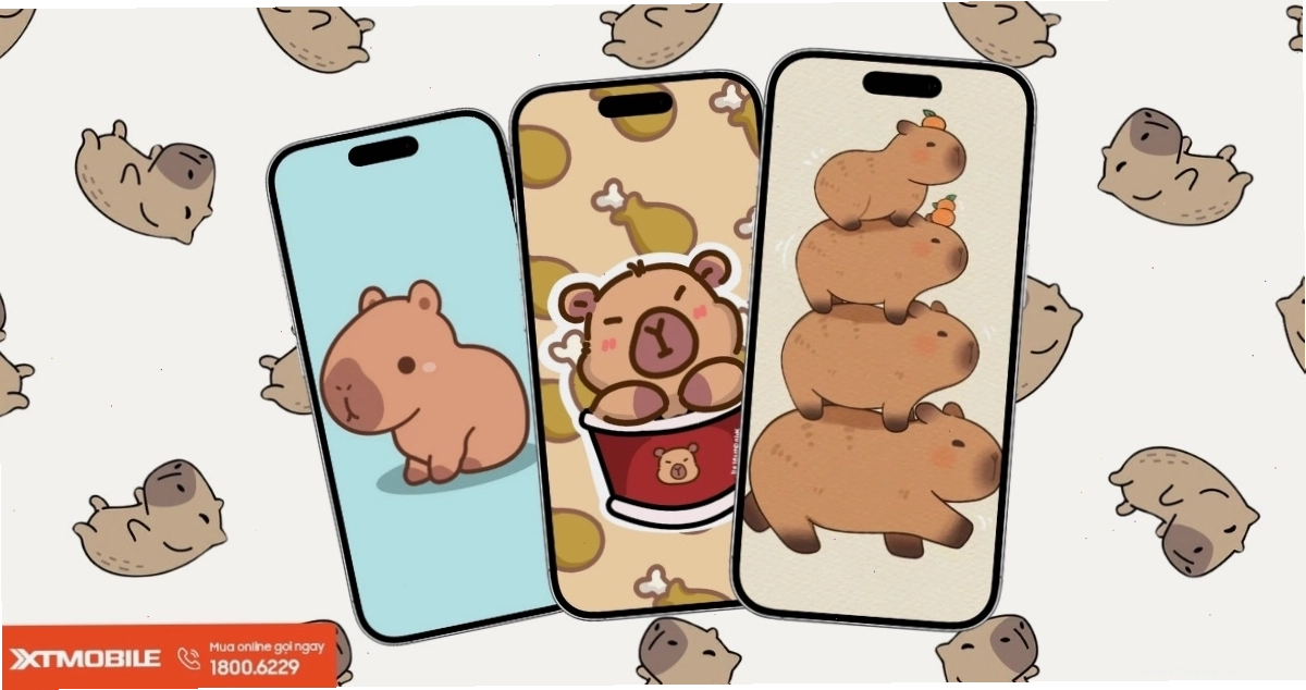 Hình nền Capybara với biểu cảm hài hước