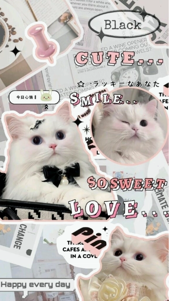 Hình nền điện thoại cute có chữ theo phong cách Hàn Quốc